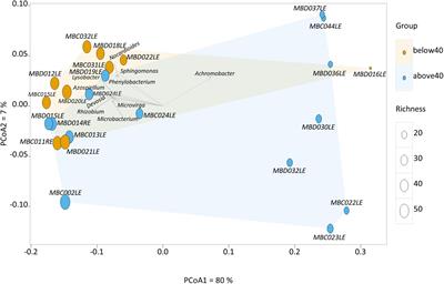 Shotgun metagenomic sequencing analysis of ocular surface microbiome in Singapore residents with mild dry eye